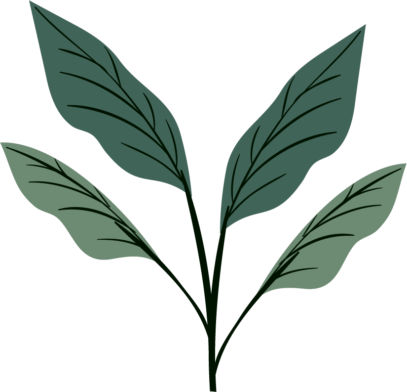 leaf icons collection classic dark green 