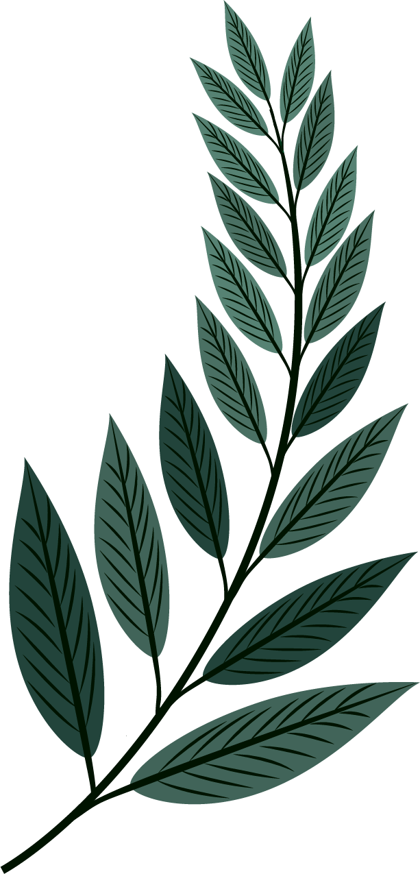 leaf icons collection classic dark green 