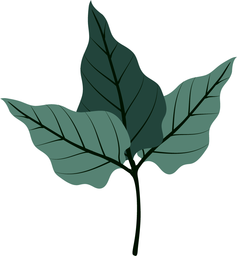 leaf icons collection classic dark green 