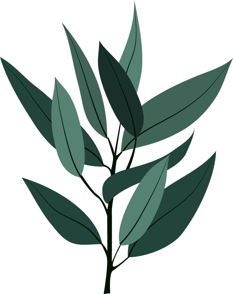 leaf icons collection classic dark green 