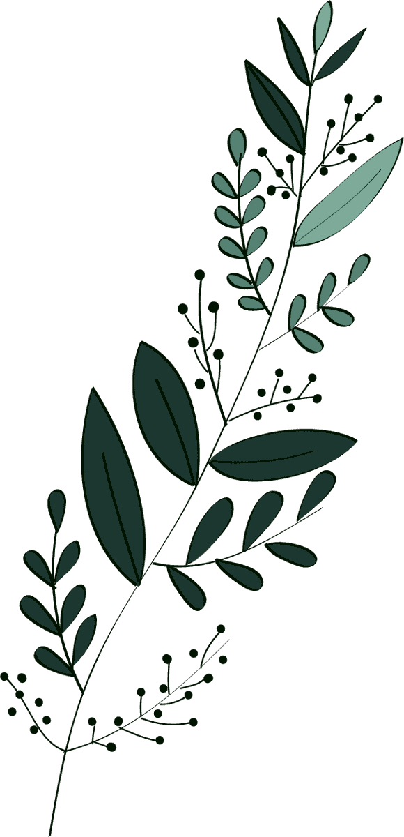 leaf icons collection classic dark green 
