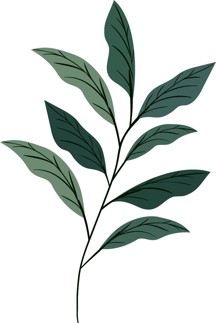 leaf icons collection classic dark green 