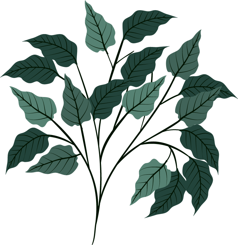 leaf icons collection classic dark green 