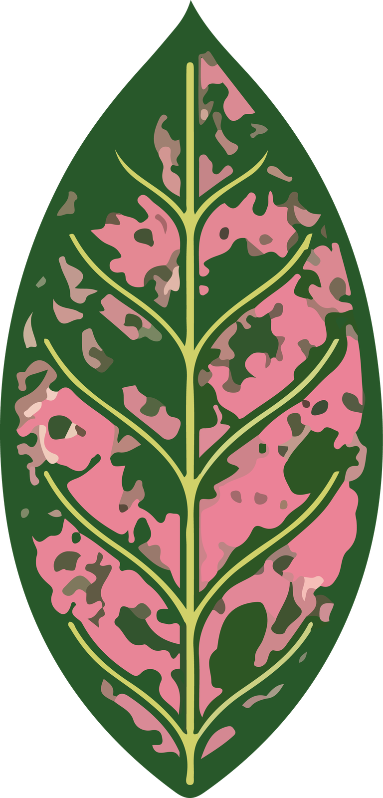 leaf plants botanical cover with vibrant colors for gardening and nature enthusiasts