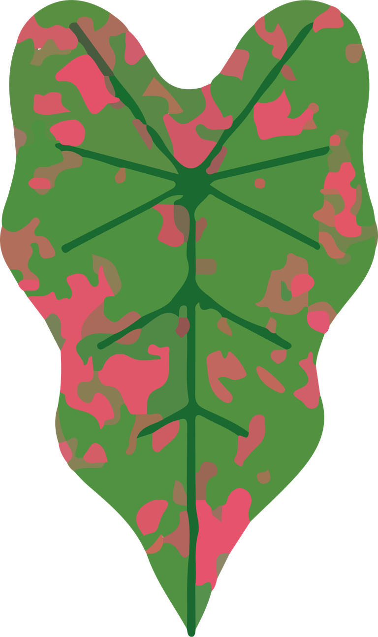 leaf plants botanical cover with vibrant colors for nature-inspired decor and artwork
