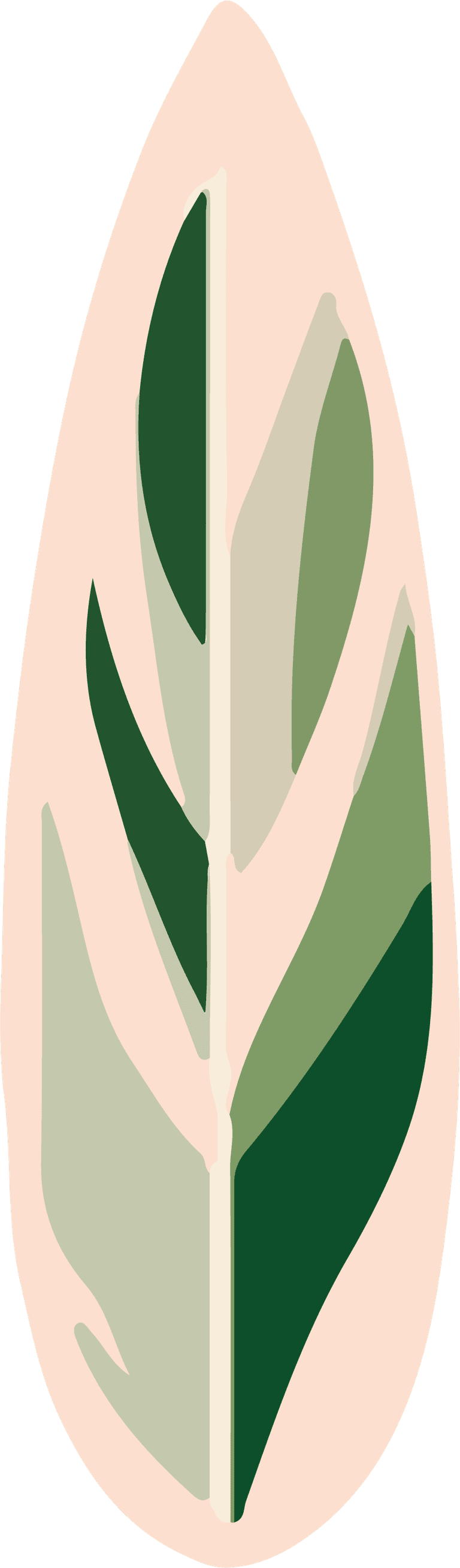 leaf plants bontanical cover