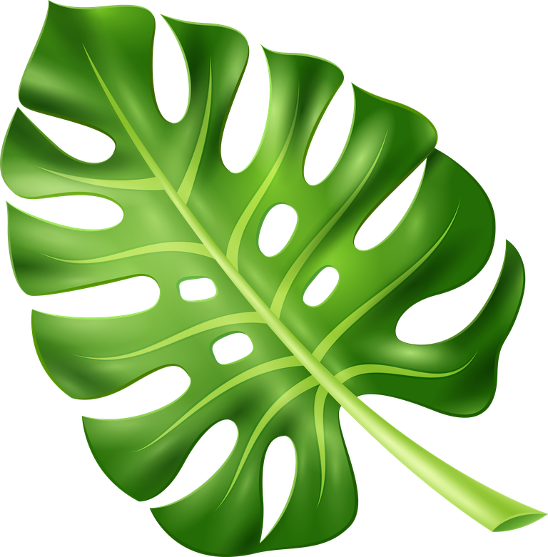 leaf tropical palm tree branches for vibrant backgrounds and nature-themed projects