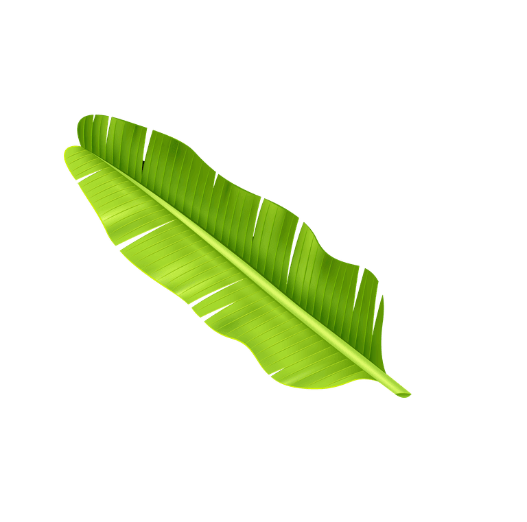 realistic leaf tropical palm tree branches for vibrant tropical-themed decor and designs