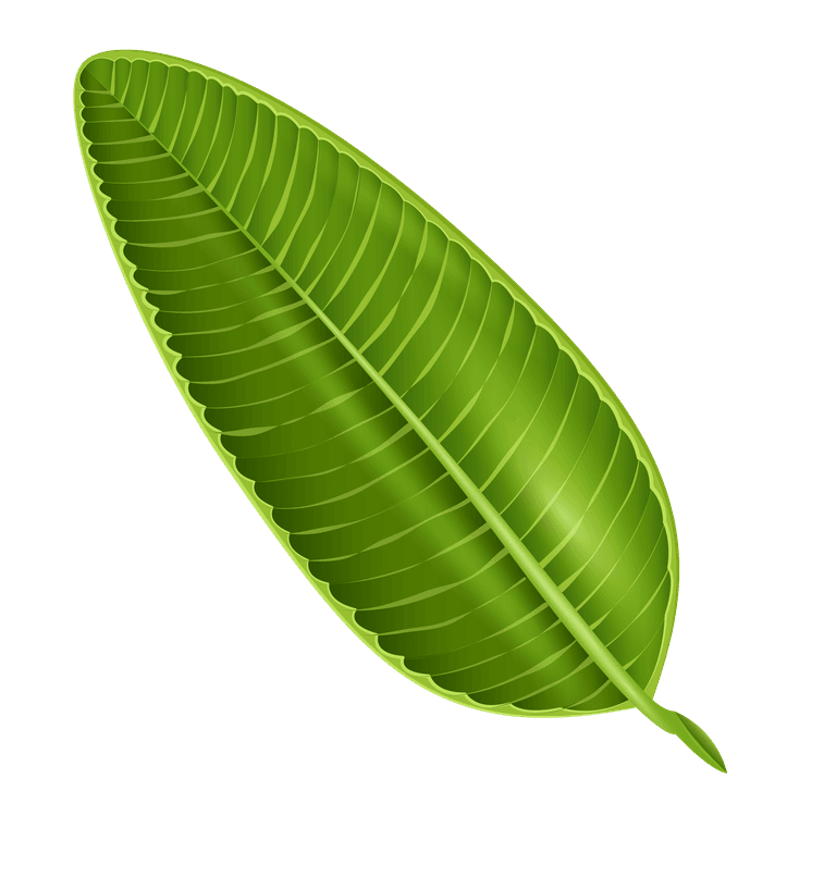 leaf tropical palm tree branches for lush nature inspired home decor projects