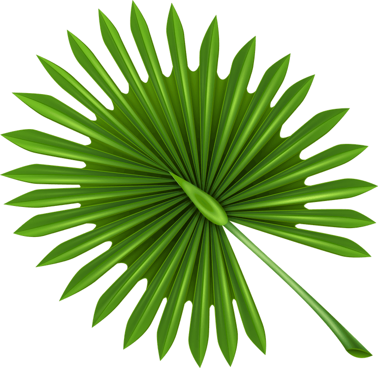 leaf tropical palm tree branches for summer decor, party themes, and nature-inspired projects