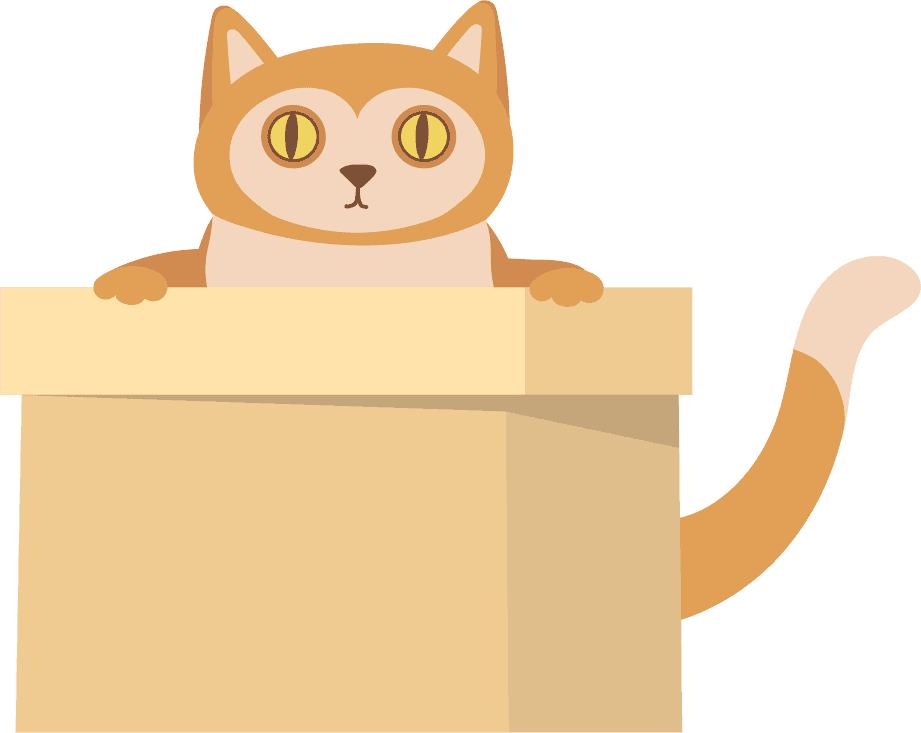 learning prepositions with help cat box flat