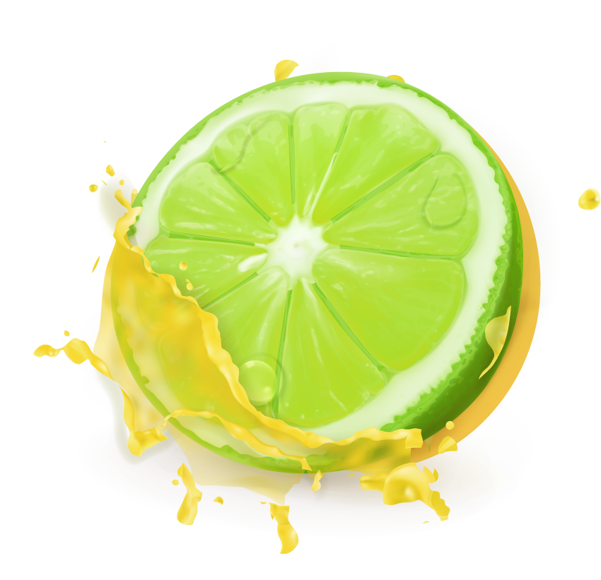 Lemon and lime juice splash vector