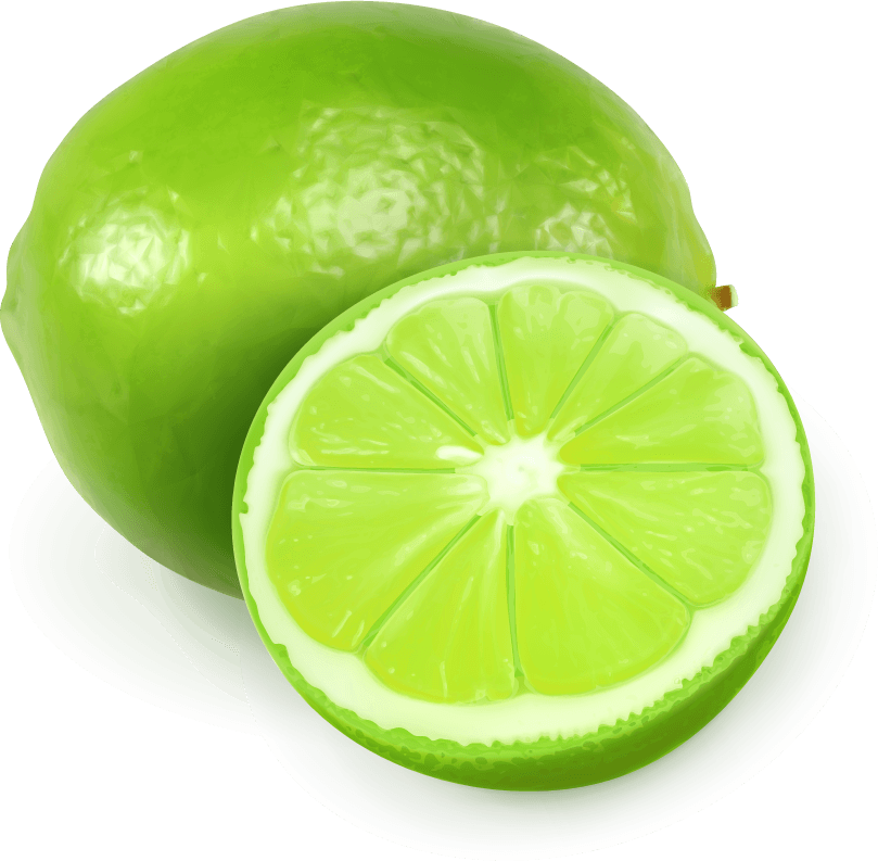 Lemon and lime juice splash vector