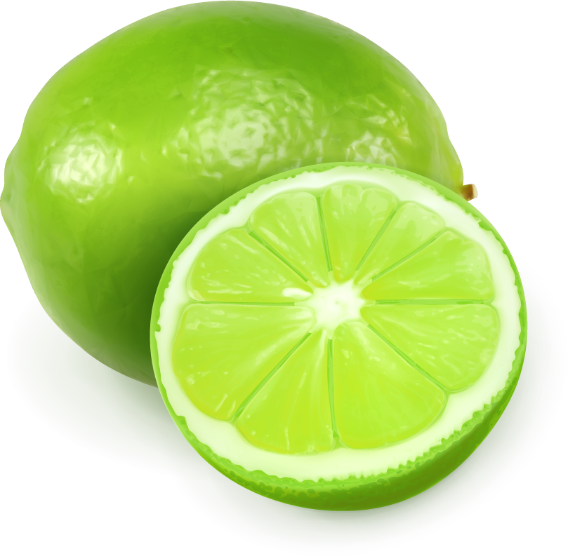 Lemon and lime juice splash vector