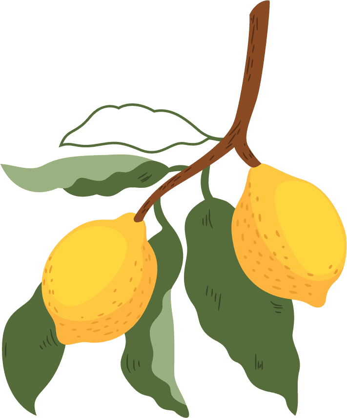 lemon branch fruits icons colored classic handrrawn sketch