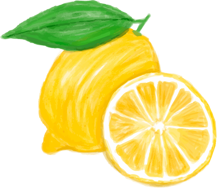 lemon hand drawn food ingredients watercolor style