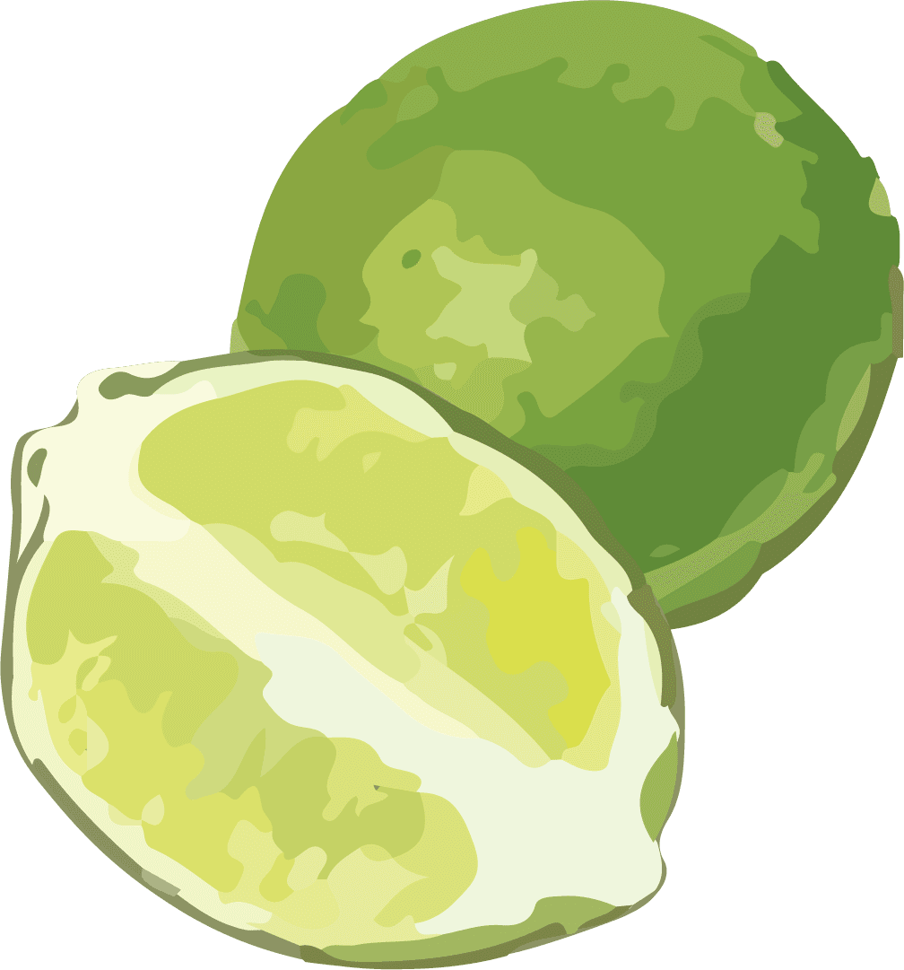 delicious lemonade avocado halved fruit illustration for summer cocktails and smoothies