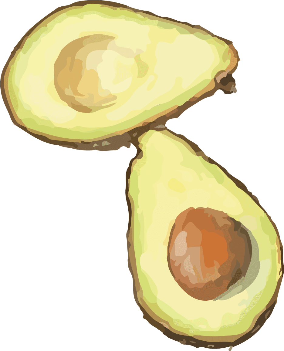 refreshing lemonade avocado halved fruit illustration for healthy recipes and snacks