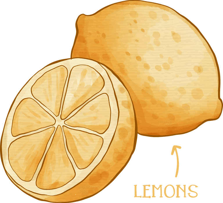 lemons hand drawn lemon cheesecake recipe