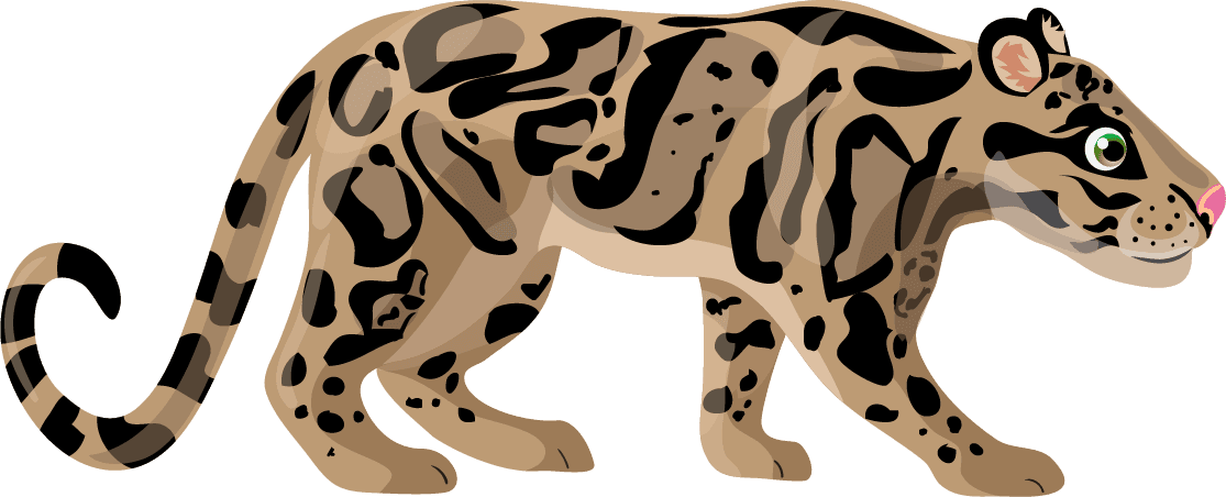 leopard cartoon asian animals template