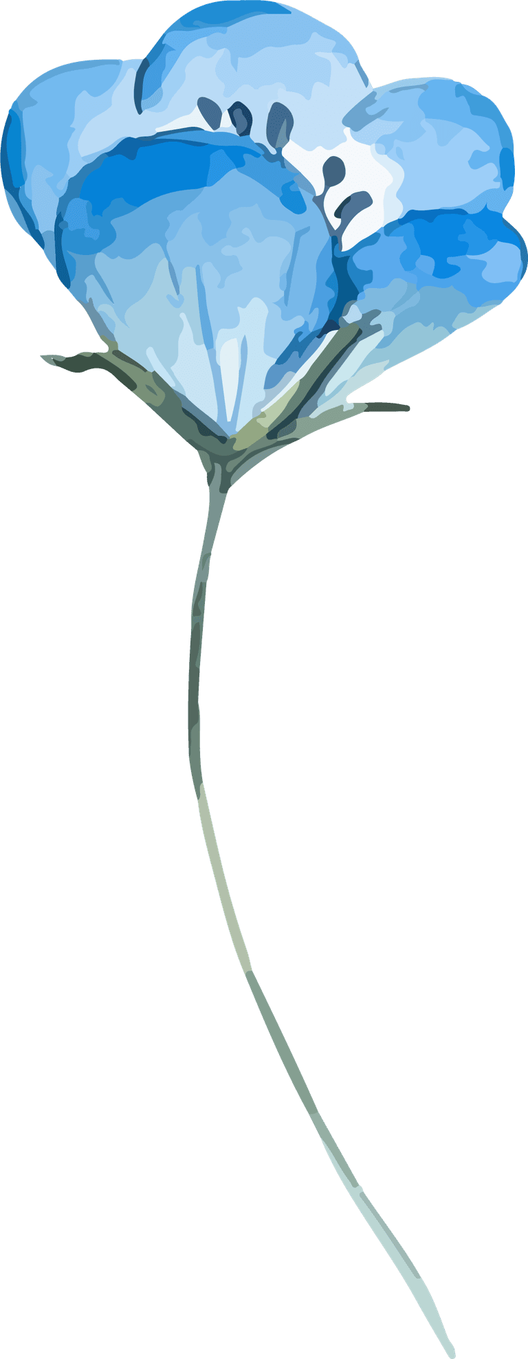 light blue watercolor flowers vector