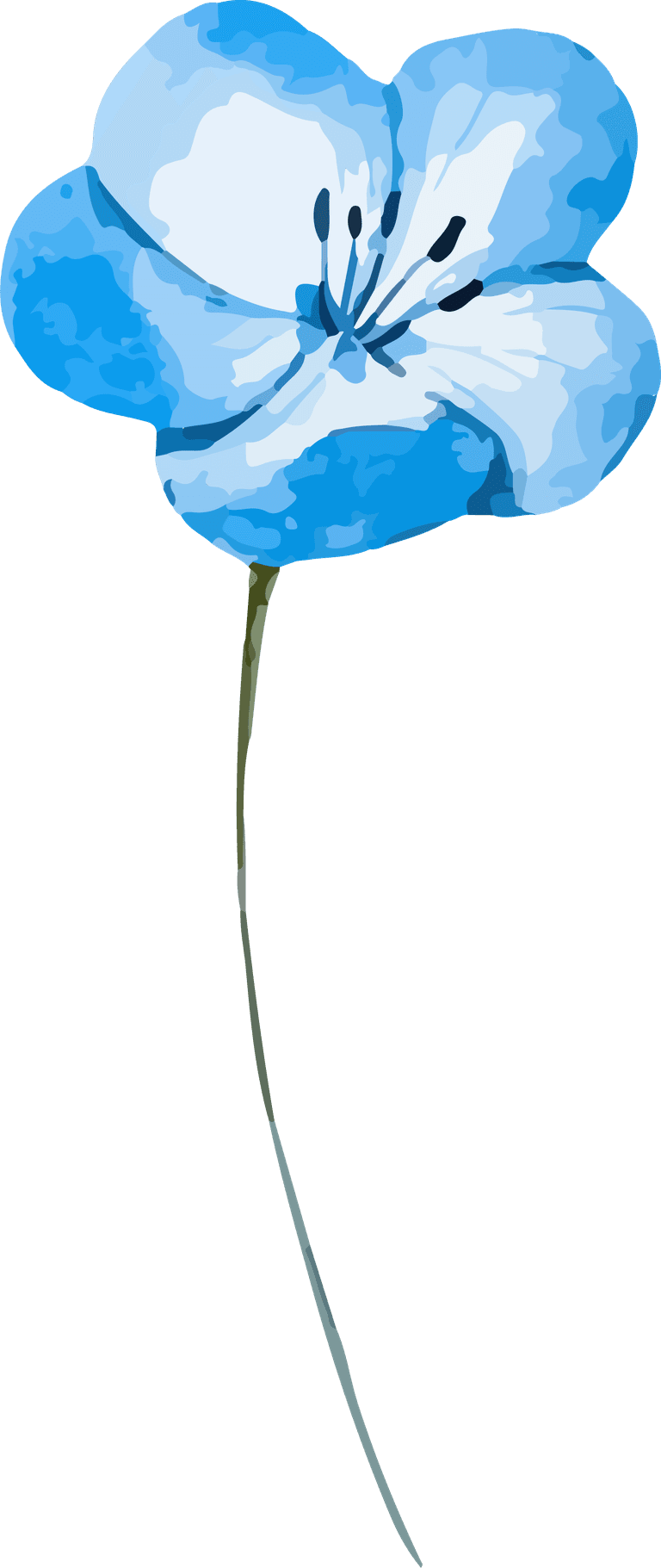 light blue watercolor flowers vector