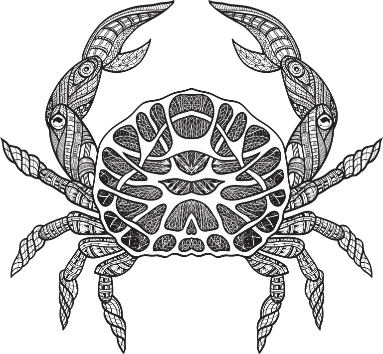 lighthouse crab sea animals collection