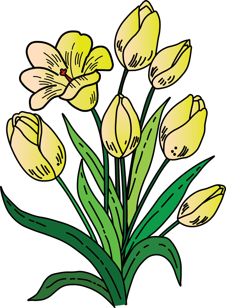line art bush yellow flowers tulip vector