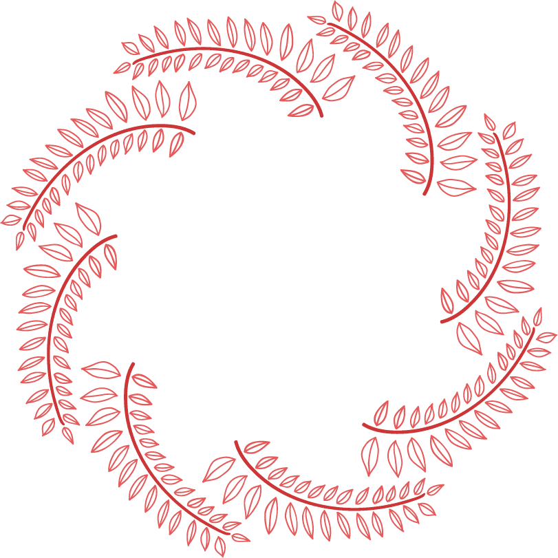 elegant line art decorative elements vector for invitations and branding projects