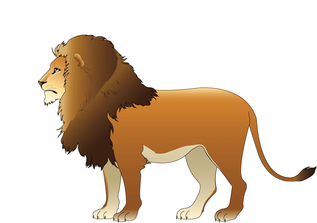lion animal models and silhouette vector