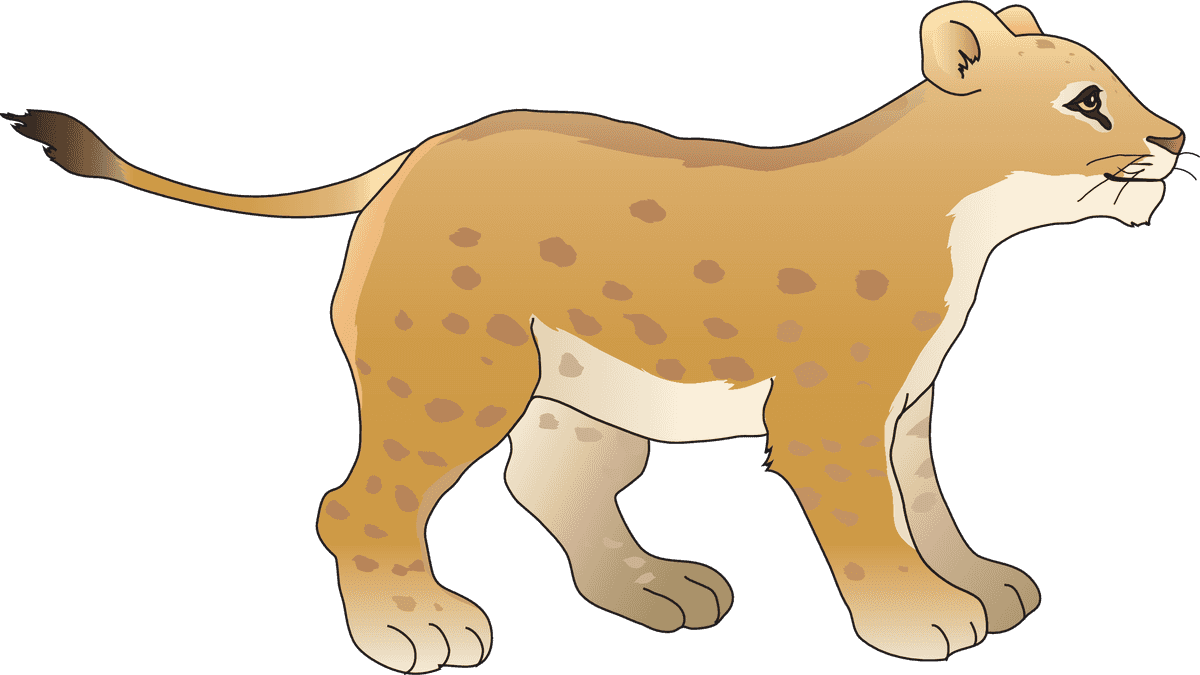 lion animal models and silhouette vector