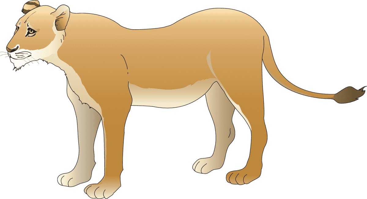 lion animal models and silhouette vector