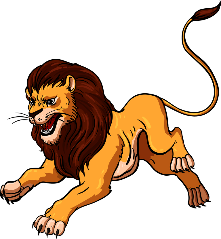 lion lion icons colored cartoon sketch