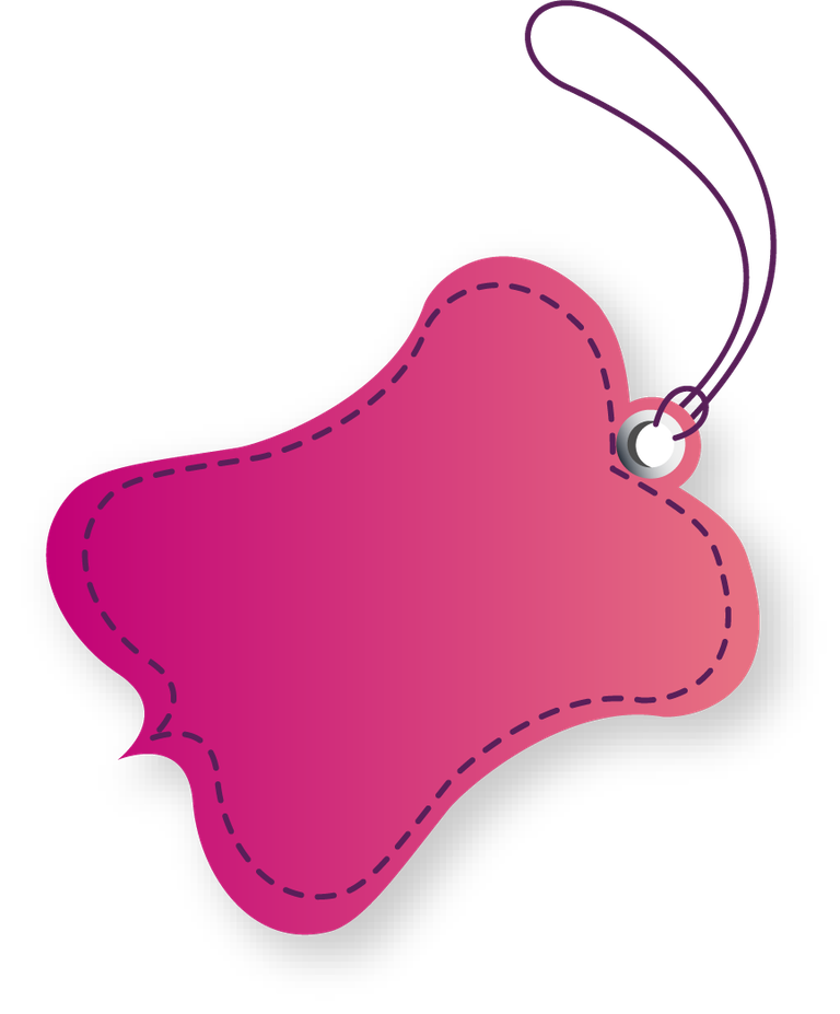lovely label and tags for stylish product presentation in vibrant colors
