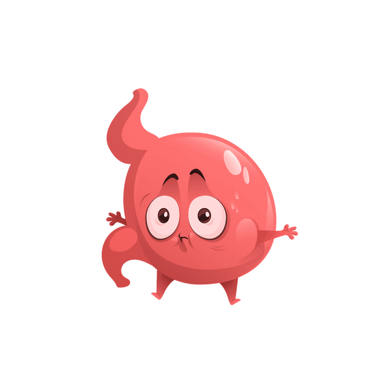 lovely stomach cartoon stomach character cute mascot