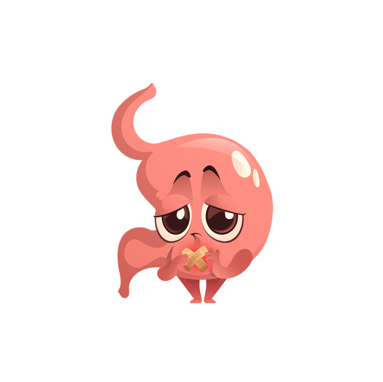 lovely stomach cartoon stomach character cute mascot