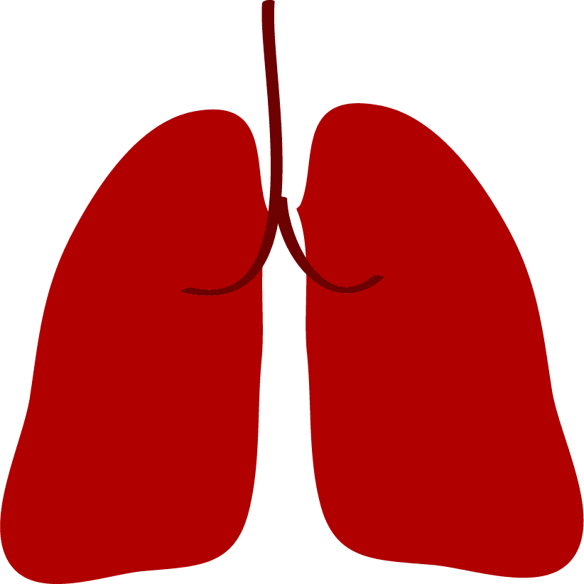 lung medical icons set for health care and educational purposes in a modern style