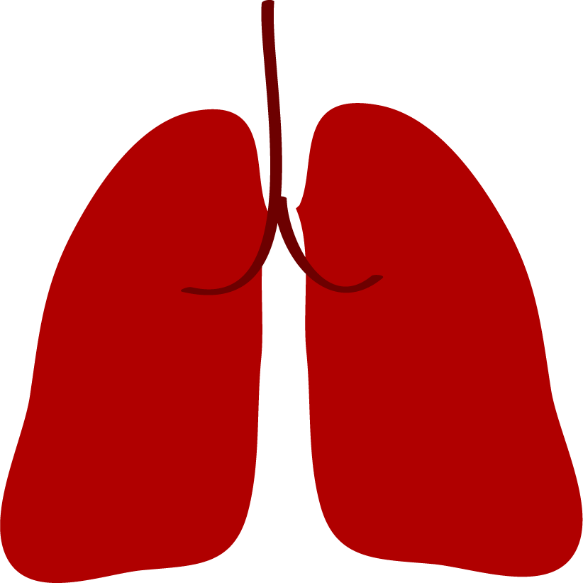 lung medical icons set for health care and educational purposes in a modern style
