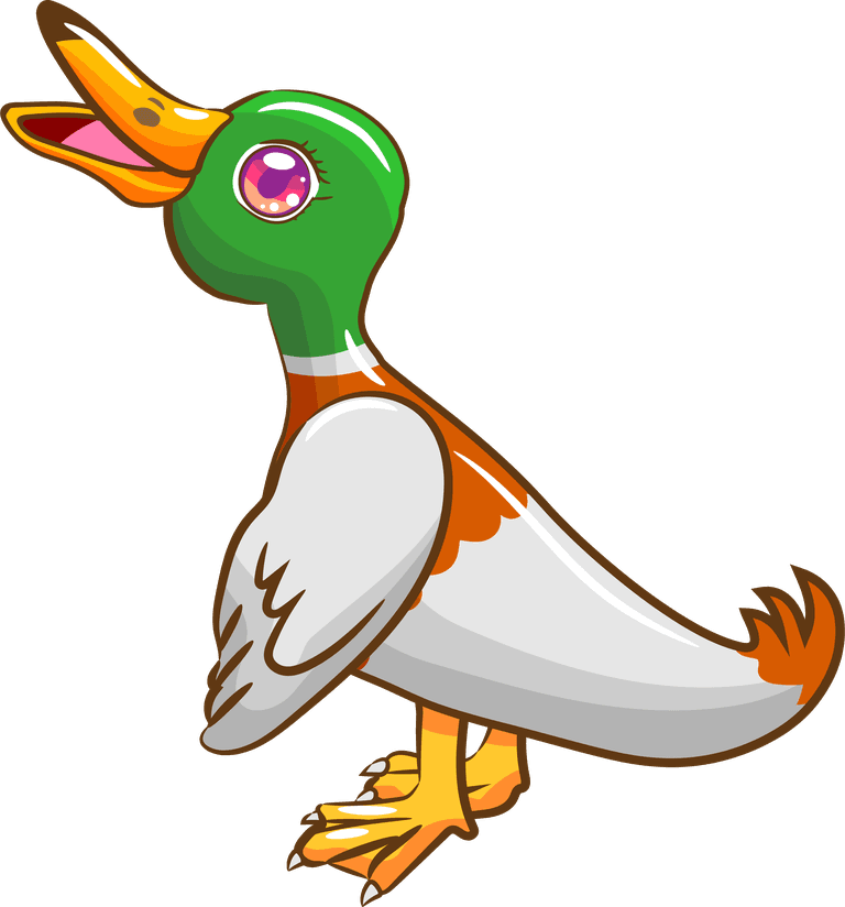 mallard cartoon mallard ducks isolated on white background