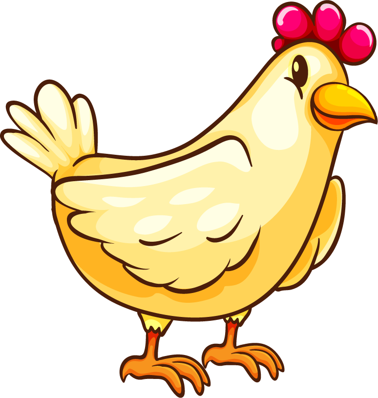 cute chicken cartoon illustration