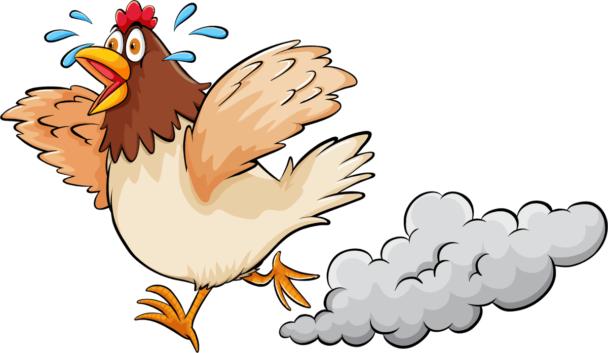 cute chicken cartoon illustration