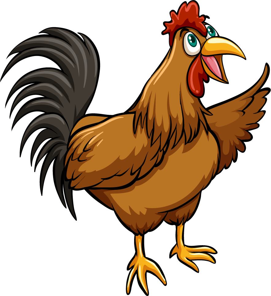 cute chicken cartoon illustration