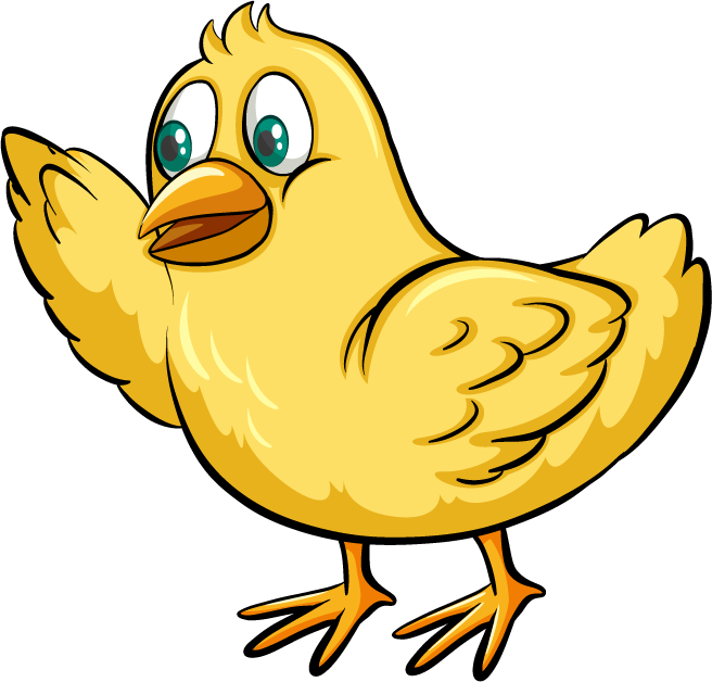 cute chicken cartoon illustration