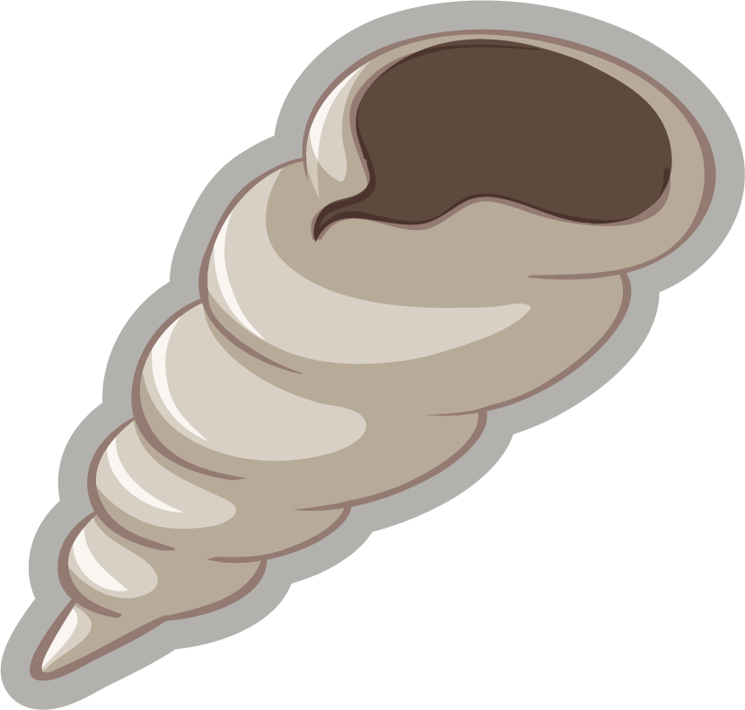 fossil under the ground illustration showcasing a shell with intricate details and textures