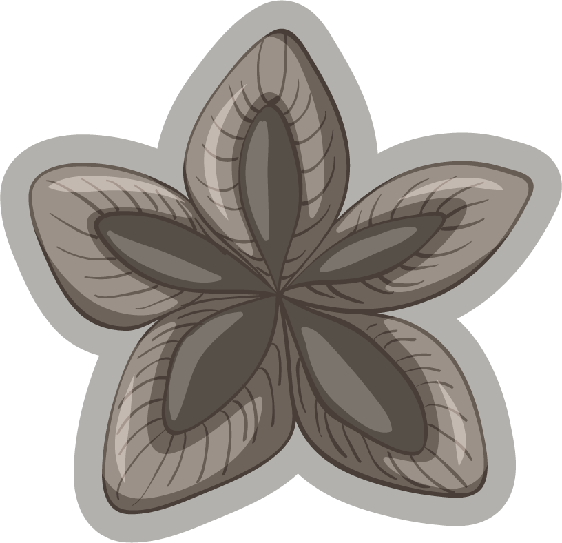 fossil under the ground illustration of a symmetrical star-shaped design for educational purposes