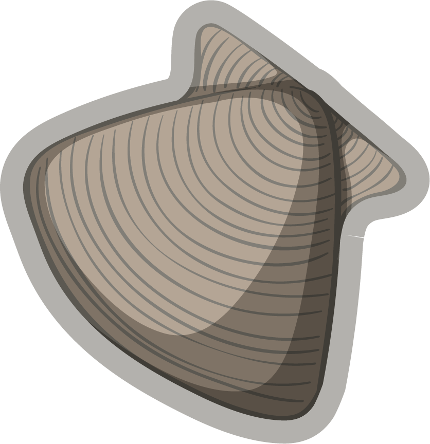 Fossil under the ground illustration