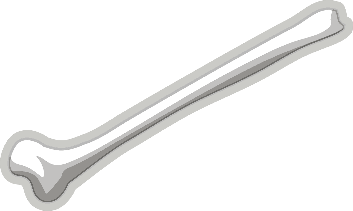 fossil under the ground illustration showcasing detailed bone structure for educational purposes