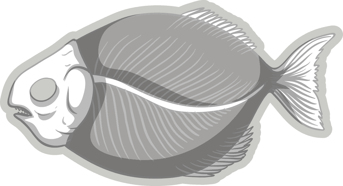 fossil under the ground illustration of a flatfish showcasing intricate details and textures