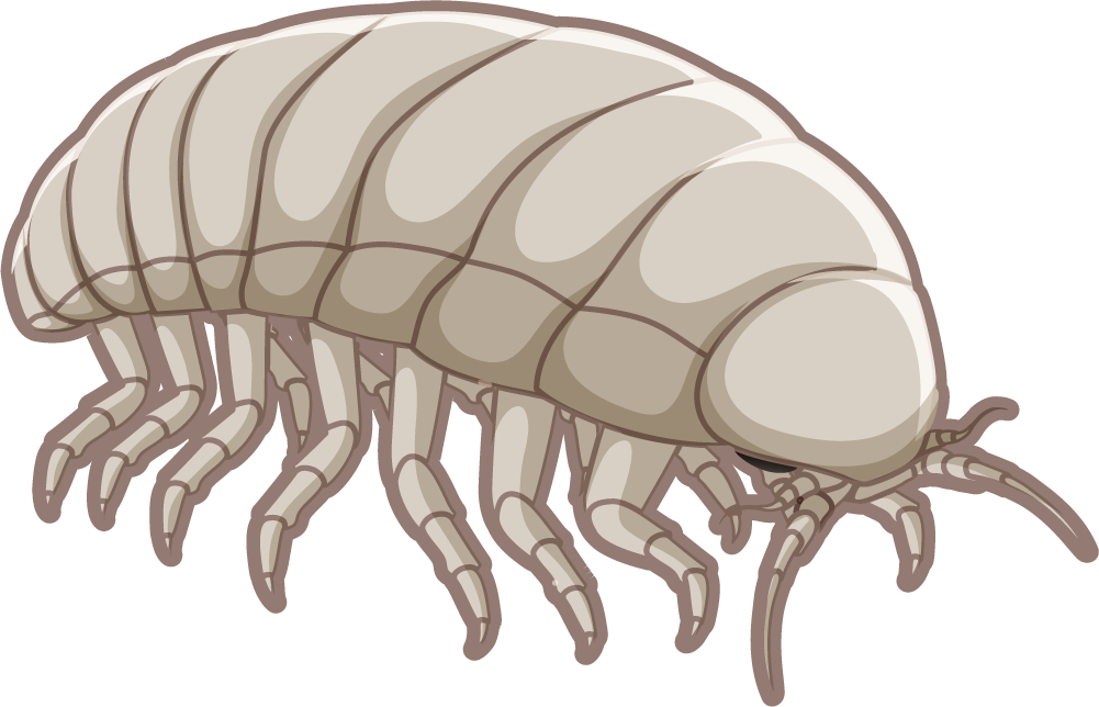 fossil under the ground illustration showcasing ancient creatures in a whimsical style