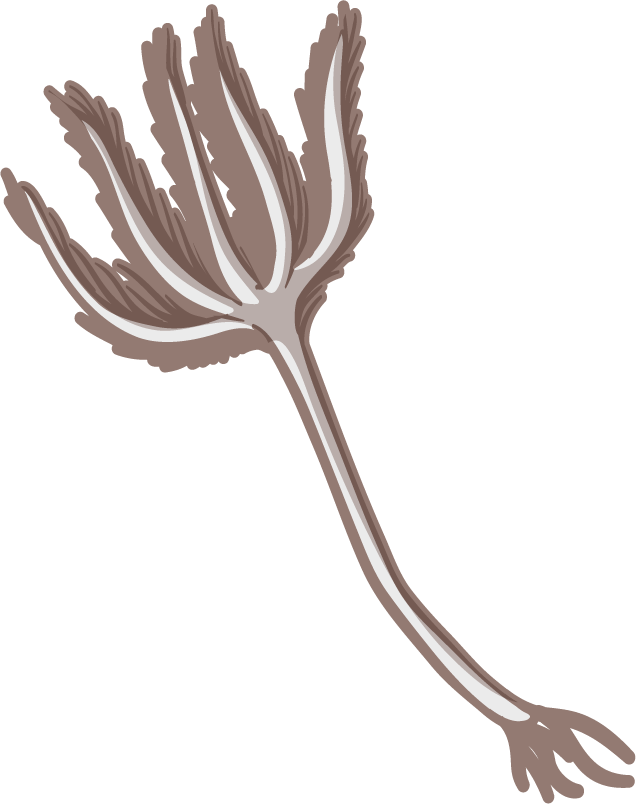 fossil under the ground illustration highlighting ancient wildlife in a whimsical style
